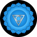 Hals Chakra Energetische Reinigung MP3+MP4 Dauerhafte Selbstanwendung