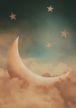 Light Dream 1-3   Ferneinweihung - Termine nach Buchung