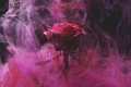 Mystik Rose  Ferneinweihung - Termin nach Buchung