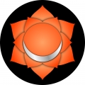 Sakralchakra Energetische Reinigung MP3+MP4 Dauerhafte Selbstanwendung