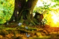 Avalonian Faery Reiki  Ferneinweihung - Termin nach Buchung