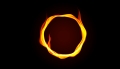 The Fire Circle Ferneinweihung - Termin nach Buchung